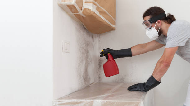 Professional Bathroom Mold Removal technician working in Wakefield, VA