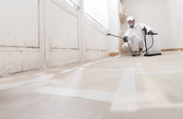 24/7 Emergency Bathroom Mold Removal experts in Wakefield, VA