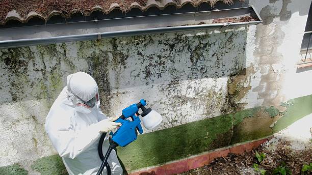 Top rated local Bathroom Mold Removal specialists in Wakefield, VA